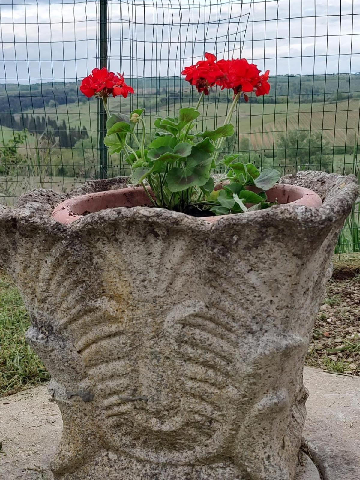 Il Giardino Del Chianti Apartment Siena Luaran gambar
